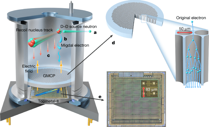 Direct observation of Migdal effect induced by neutron bombardment
