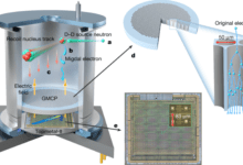 Direct observation of the Migdal effect induced by neutron bombardment
