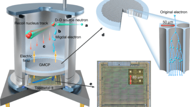 Direct observation of Migdal effect induced by neutron bombardment