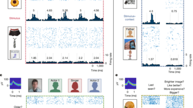 Distinct neuronal populations in human brain combine content and context