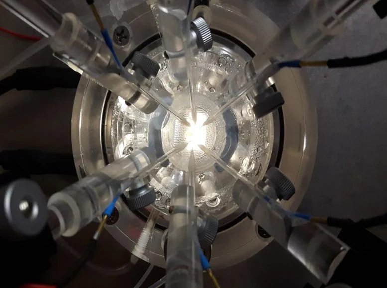 Electrophysiology Set Up