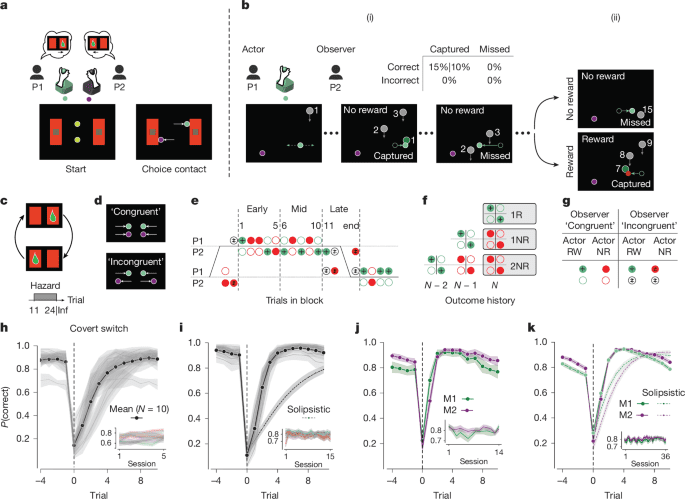 Evidence accumulation from experience and observation in cingulate coex