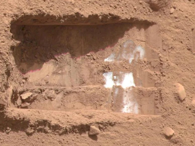 Exposed Subsurface Ice Excavated by NASAs Phoenix Lander