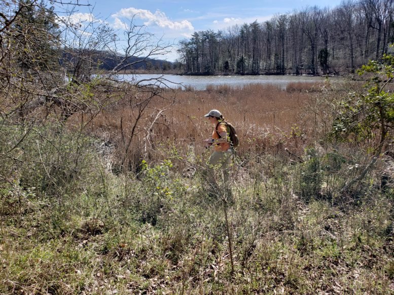 Field Work Sampling at One of 18 Active Otter Latrines