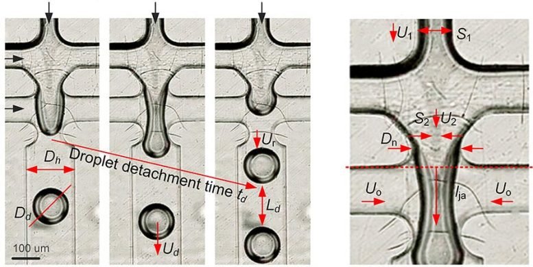 العلماء يحصرون قوة الزعتر العلاجية في كبسولات صغيرة 2 Formation of Droplets From Fluid Jets
