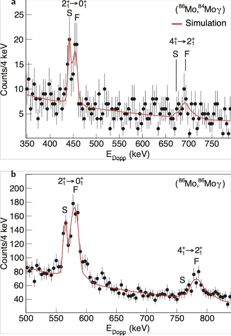 اكتشف الفيزيائيون جزيرة نووية جديدة حيث تنهار الأرقام السحرية 4 Gamma Ray Spectra of Mo 84 and Mo 86