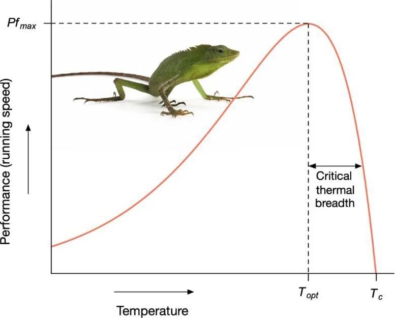 General Thermal Performance Curve