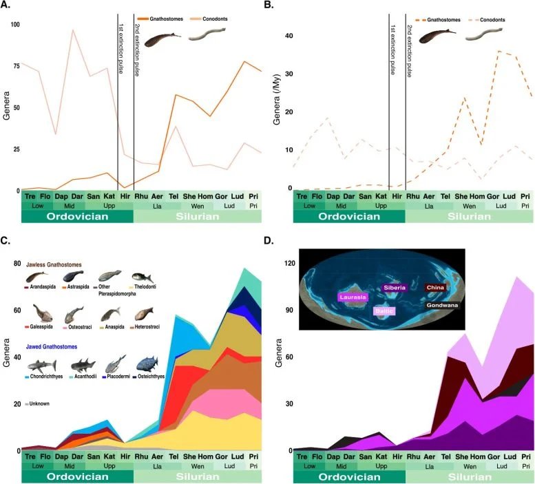 كيف غيّر التجميد العالمي منذ 445 مليون سنة الحياة إلى الأبد؟ 3 Genus Level Diversity Curves Gnathostomes Ordovician Silurian Periods