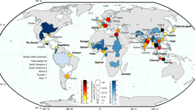 Global subsidence of river deltas