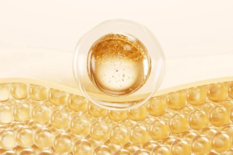العلماء يحصرون قوة الزعتر العلاجية في كبسولات صغيرة 1 Golden Bubble Serum Skin Care Cells