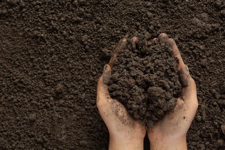 Hands Holding Rich Black Soil