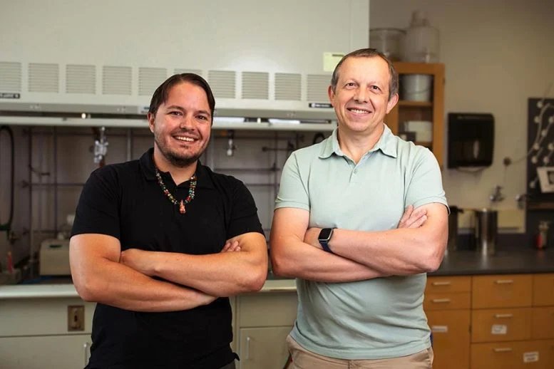 Ian Campbell and Michael Shatruk