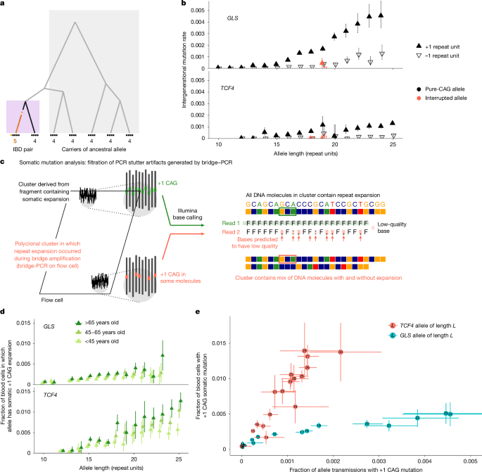 Insights into DNA repeat expansions among 900,000 biobank paicipants