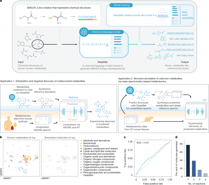 Language modelguided anticipation and discovery of mammalian metabolites