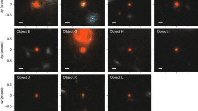 Little red dots as young supermassive black holes in dense ionized cocoons