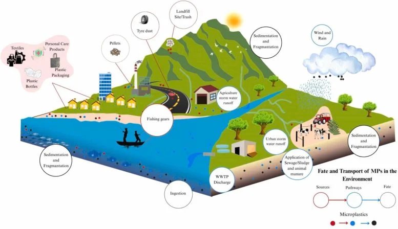 Microplastic Sources and Pathways Graphic