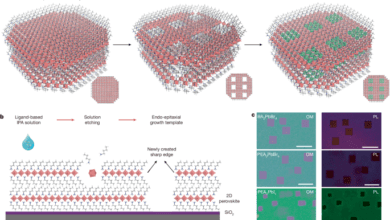 Mosaic lateral heterostructures in twodimensional perovskite