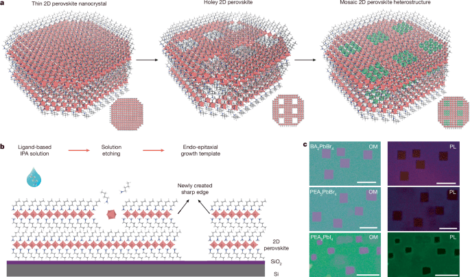 Mosaic lateral heterostructures in twodimensional perovskite