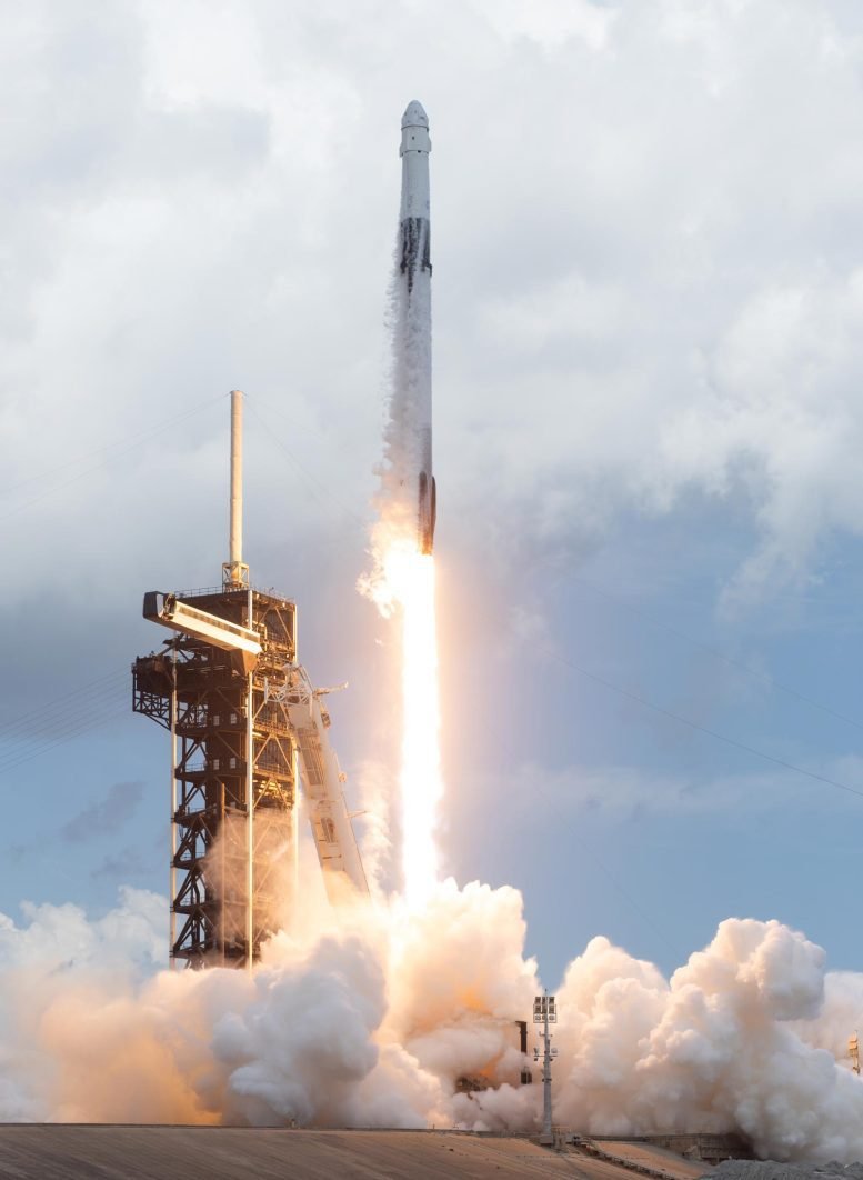 NASAs SpaceX Crew 11 Launch