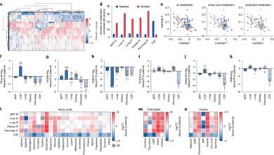 Nutrient requirements of organspecific metastasis in breast cancer