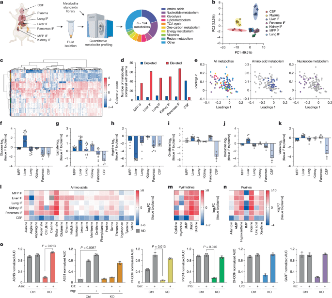 Nutrient requirements of organspecific metastasis in breast cancer