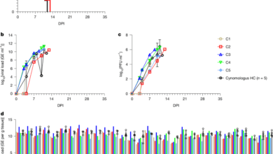 Oral 4′fluorouridine rescues nonhuman primates from advanced Lassa fever