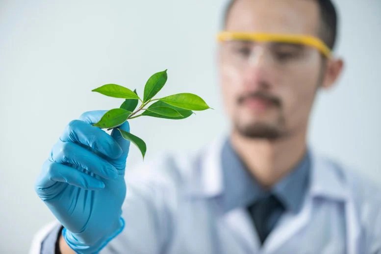 Plant Scientist Holding Twig