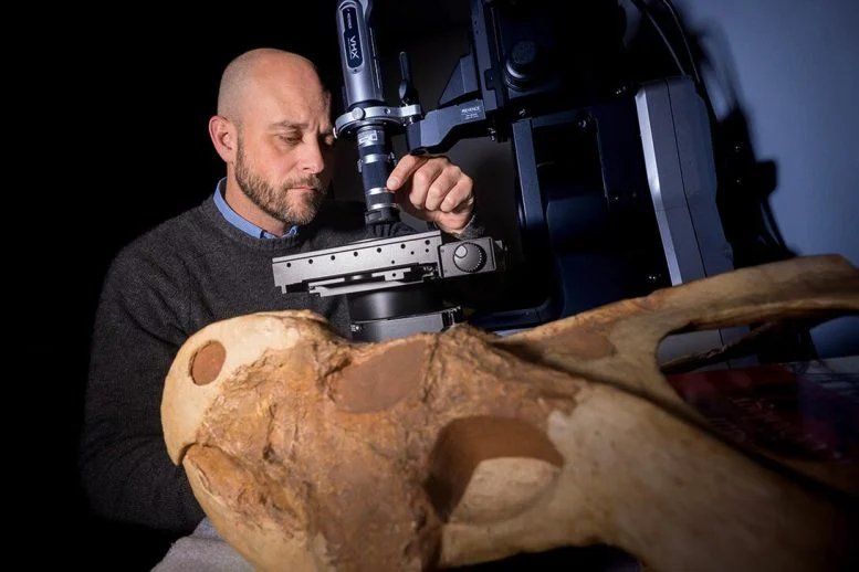 تمت تسوية الجدل حول الديناصورات الذي استمر لعقود من الزمن كان نانوتيرانوس حقيقيًا 4 Poust Uses a Keyence VHX 7000