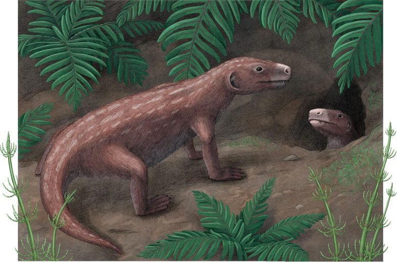 Reconstructed Image of Thrinaxodon