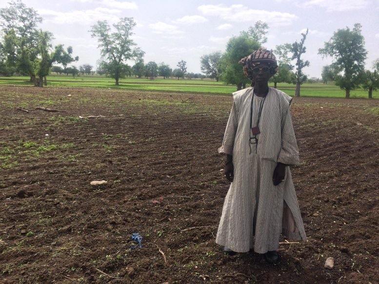 وجد العلماء طريقة لجعل المحاصيل غير شهية للجراد 8 Senegalese Farmer Shows Improved Soil