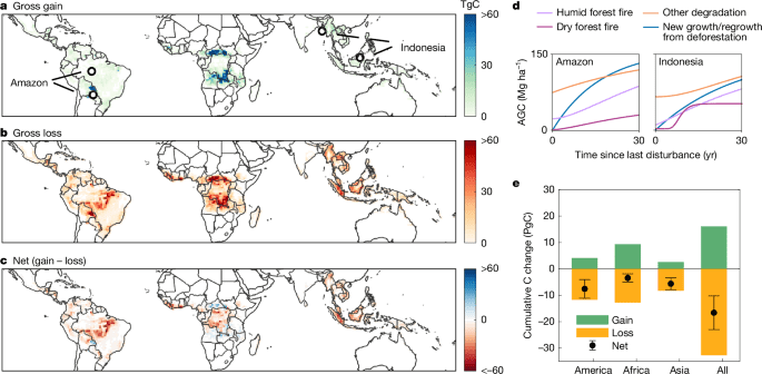Small persistent humid forest clearings drive tropical forest biomass losses