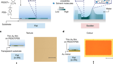Soft photonic skins with dynamic texture and colour control