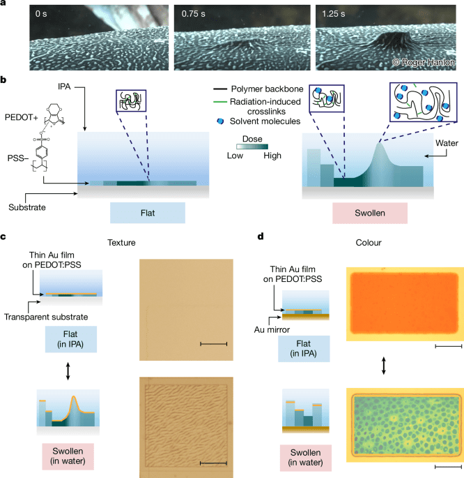 Soft photonic skins with dynamic texture and colour control