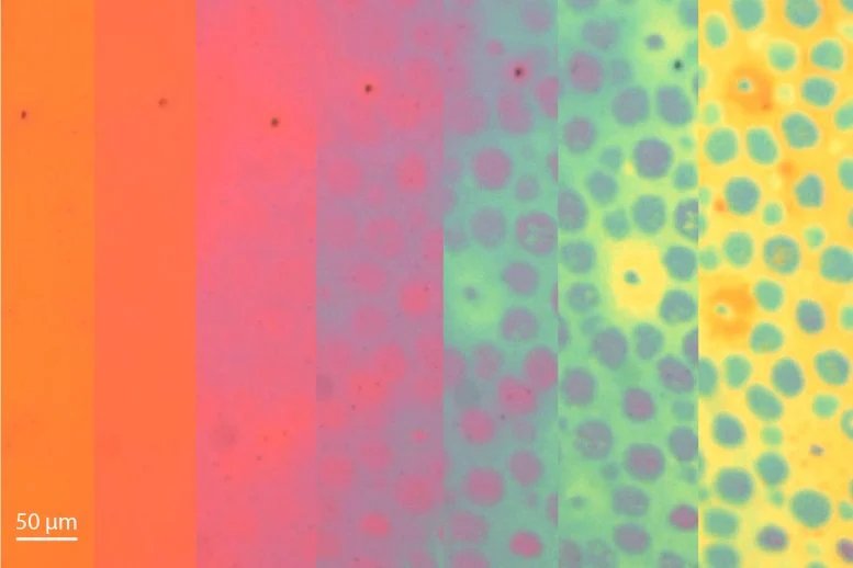 يطور باحثون في جامعة ستانفورد مادة جديدة تغير اللون والملمس مثل الأخطبوط