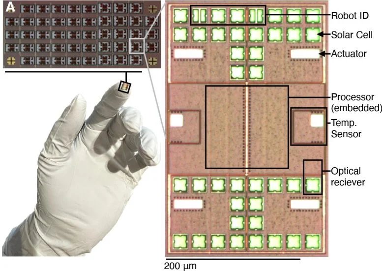 Tiny Robot Schematics
