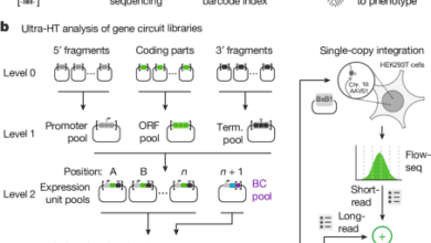 Ultrahighthroughput mapping of genetic design space