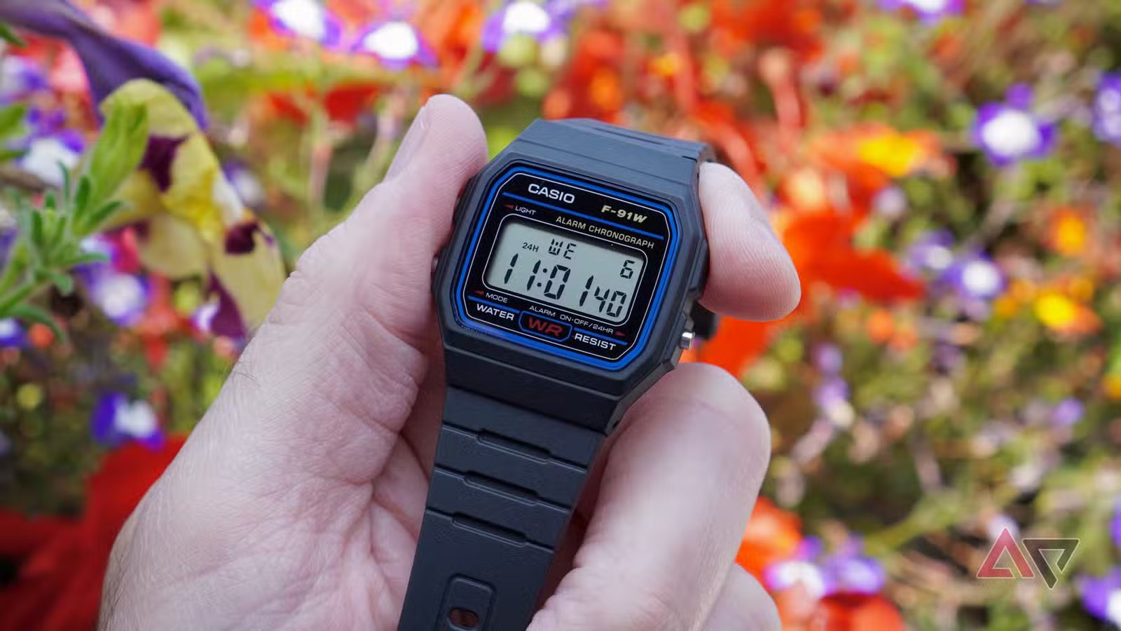 casio f91w face