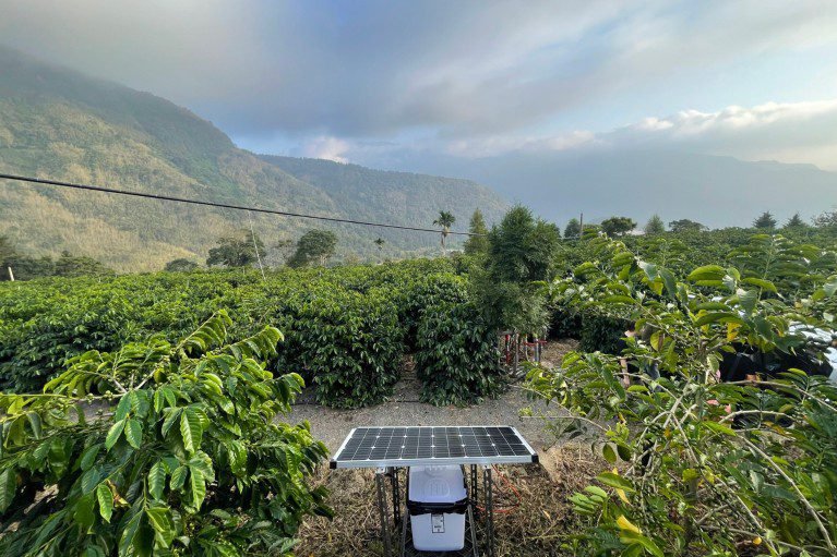 d41586 025 04150 w 51839800