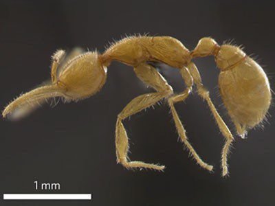 d41586 025 04150 w 51849008