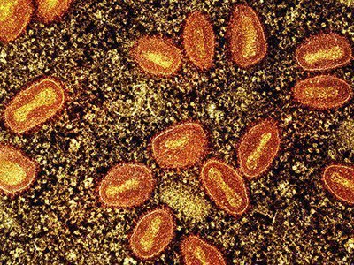 d41586 025 04154 6 27660704