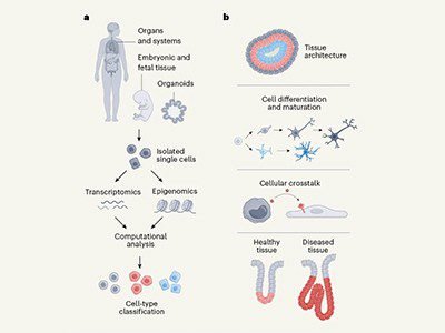 d41586 026 00007 y 27718074