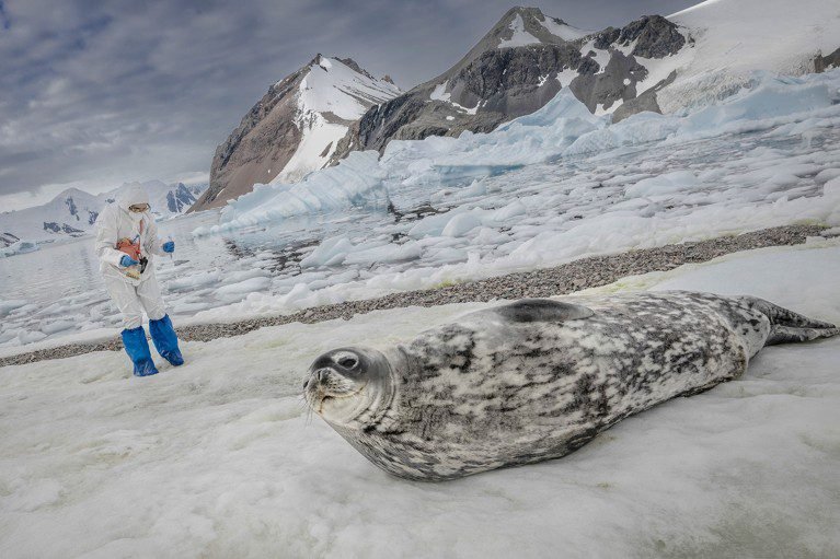 الخلايا البشرية في أجسامنا ليست لنا وراثيا 2 d41586 026 00043 8 51796276