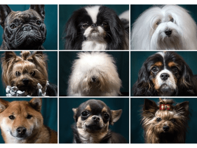 d41586 026 00071 4 16202084