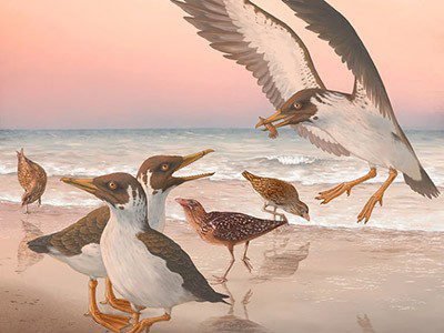 d41586 026 00076 z 51926702