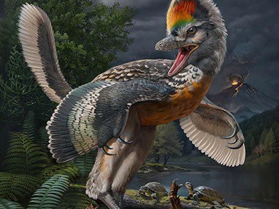 d41586 026 00076 z 51926704