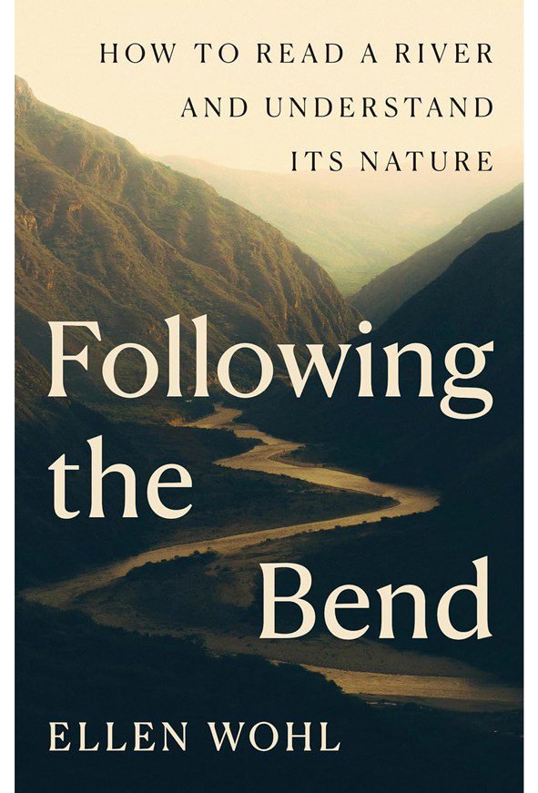 d41586 026 00077 y 51839836