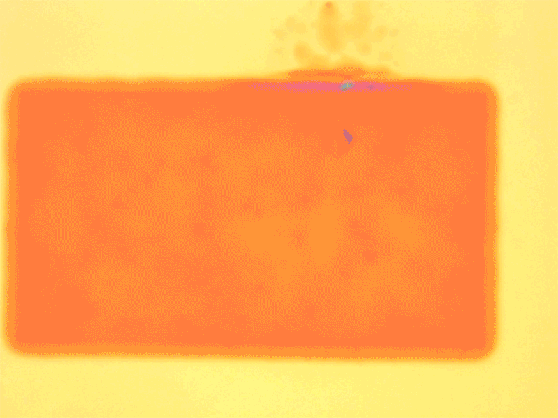 d41586 026 00080 3 51917504