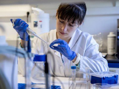 d41586 026 00085 y 25294792