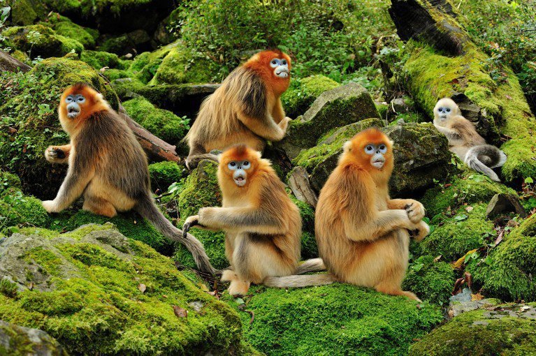 d41586 026 00149 z 51934162