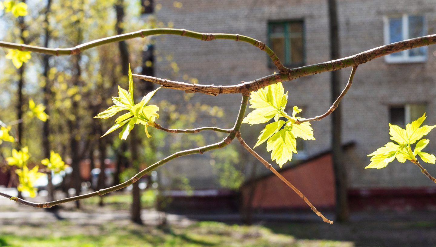 d64484bdce67d836f43f0aa6d1a50a00224c6c71